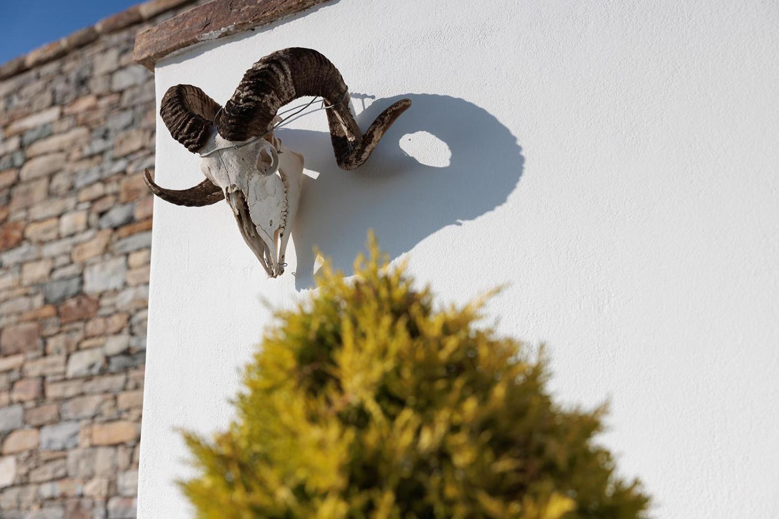 Villa Papa Glinado Naxos Екстериор снимка
